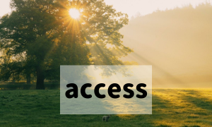 アクセス